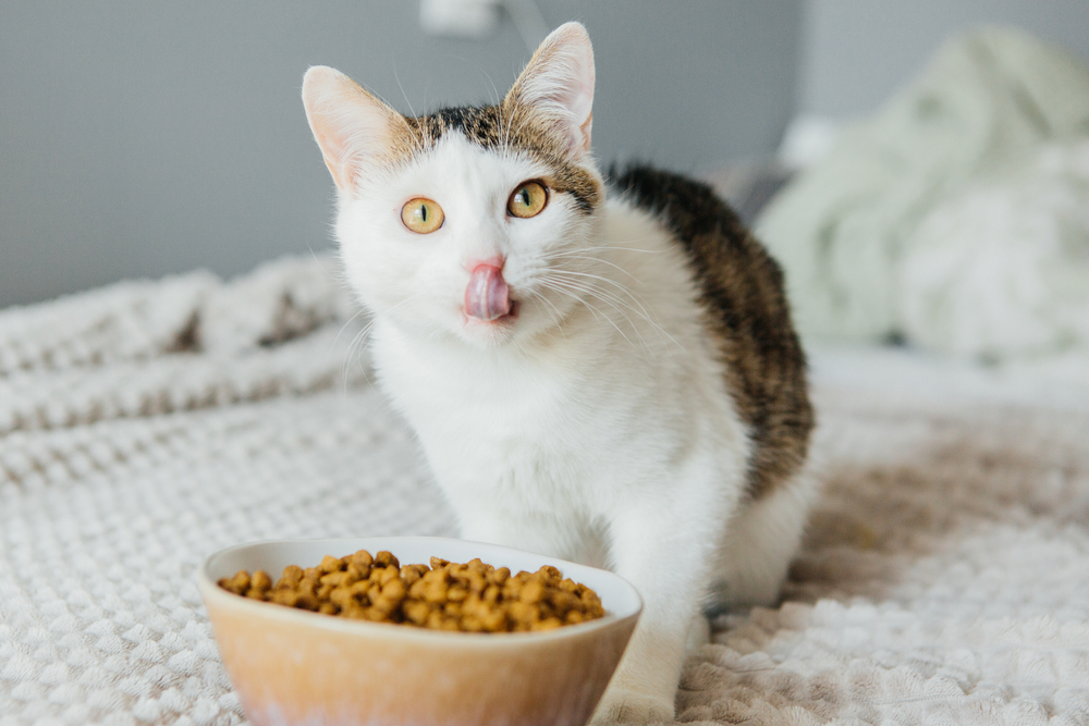 Makanan Kucing Felibite Hello Kitty Kandungan Nutrisi