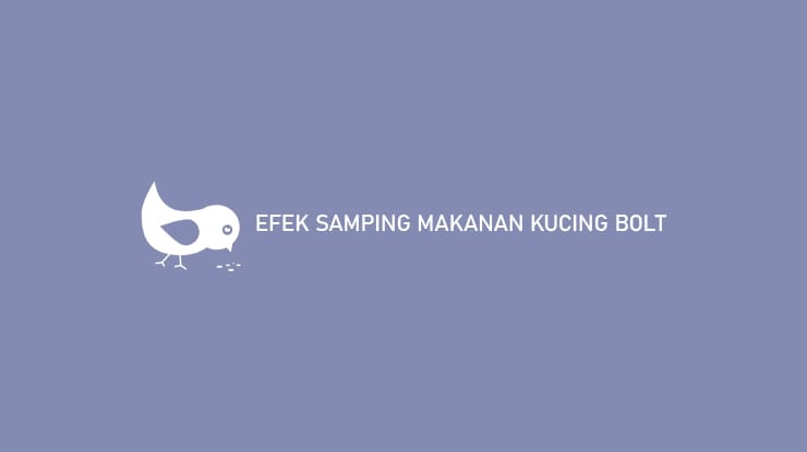 Efek Samping Makanan Kucing BOLT Dan Manfaat Lengkap